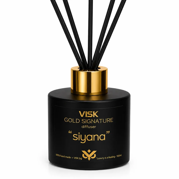 ViSK